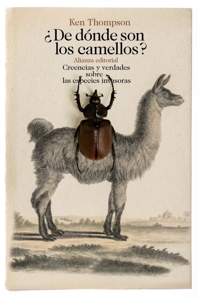 ¿De dónde son los camellos? Creencias y verdades sobre las especies invasoras