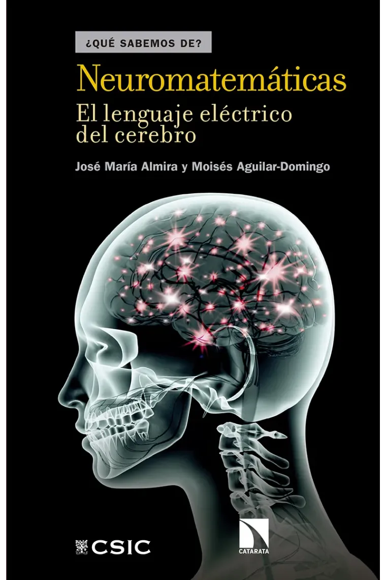 Neuromatemáticas.
