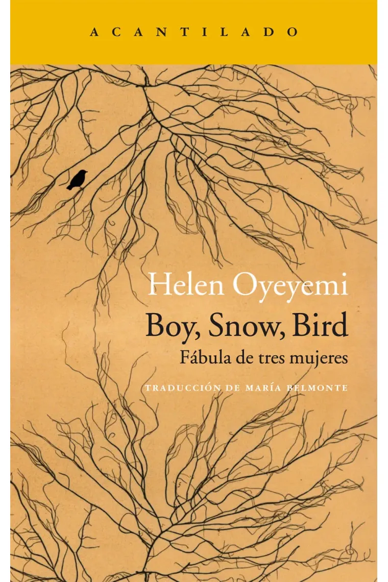 Boy, Snow, Bird. Fábula de tres mujeres
