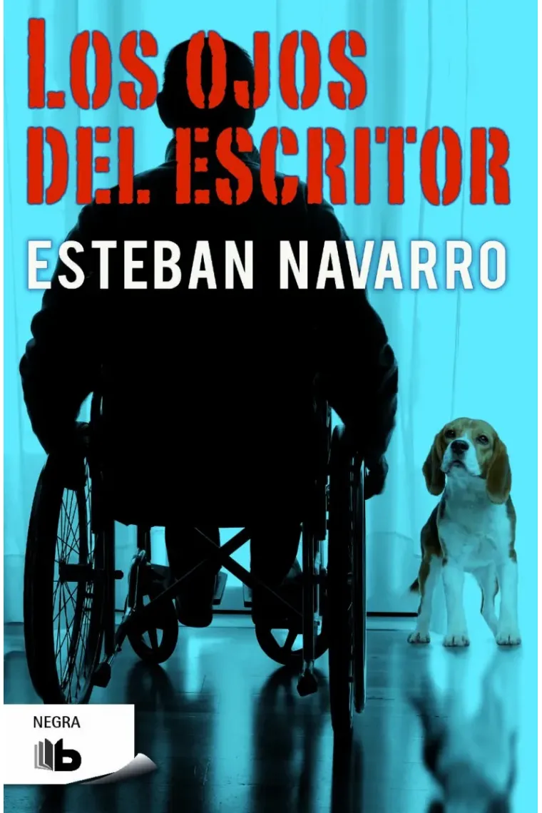 Los ojos del escritor
