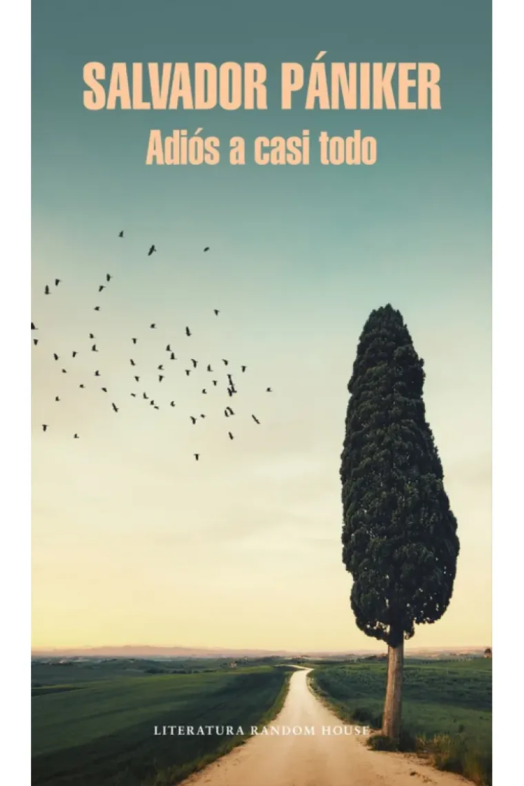 Adiós a casi todo (Diarios de Pániker, 5)