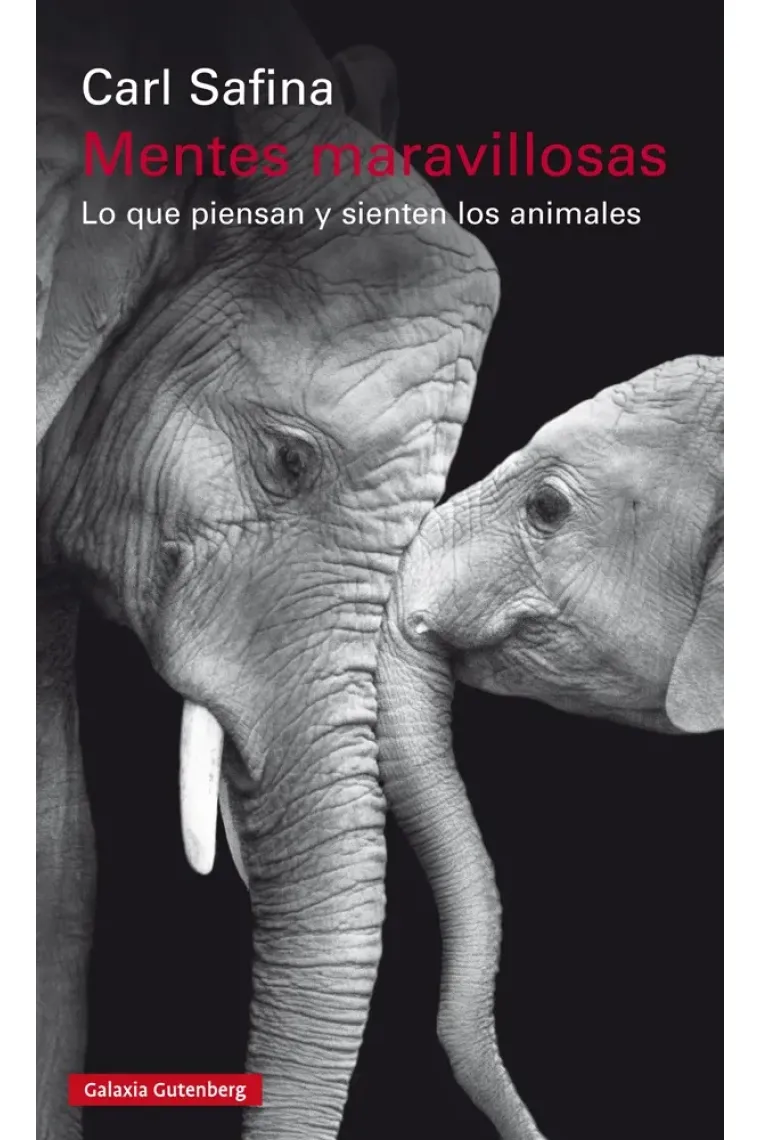 Mentes maravillosas