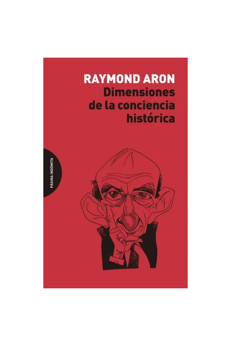 Dimensiones de la conciencia histórica