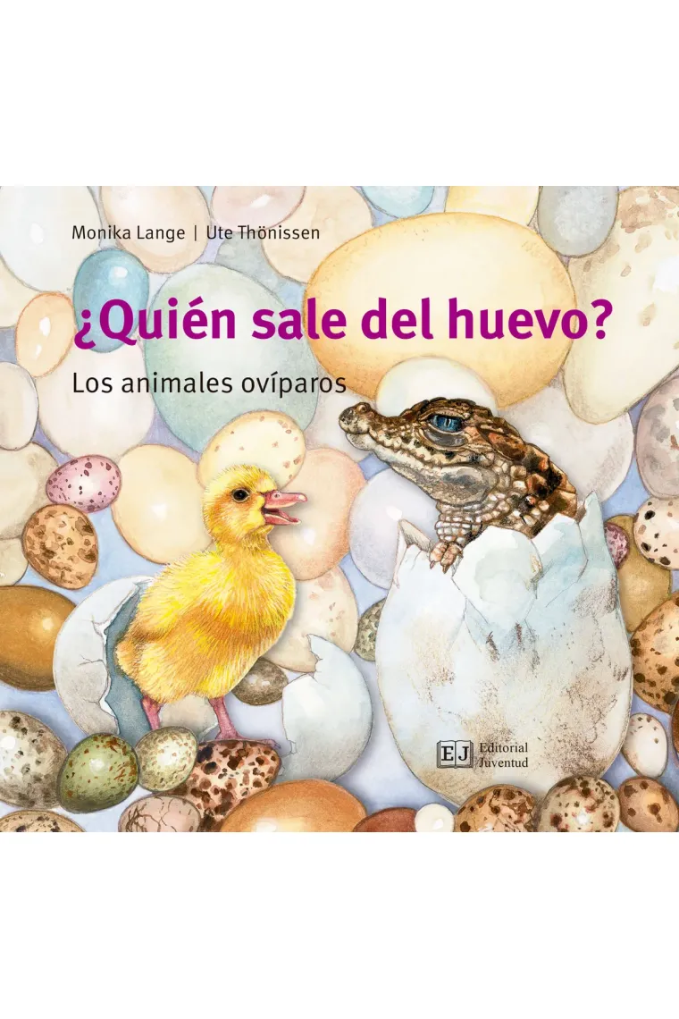 ¿Quién sale del huevo?.