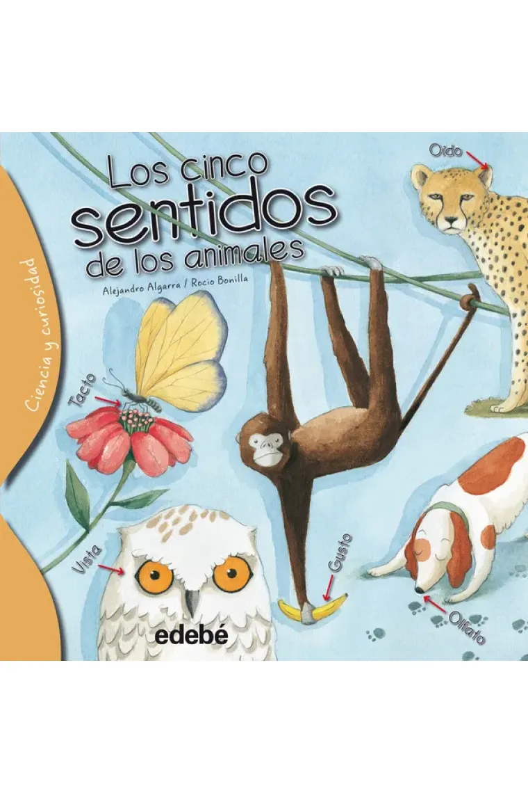 Els colors dels animals (Catalán)
