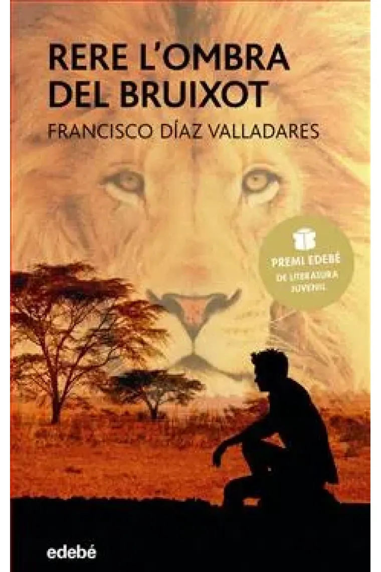 Rere l'ombra del bruixot (Premi edebé literatura juvenil 2017) (Catalán)