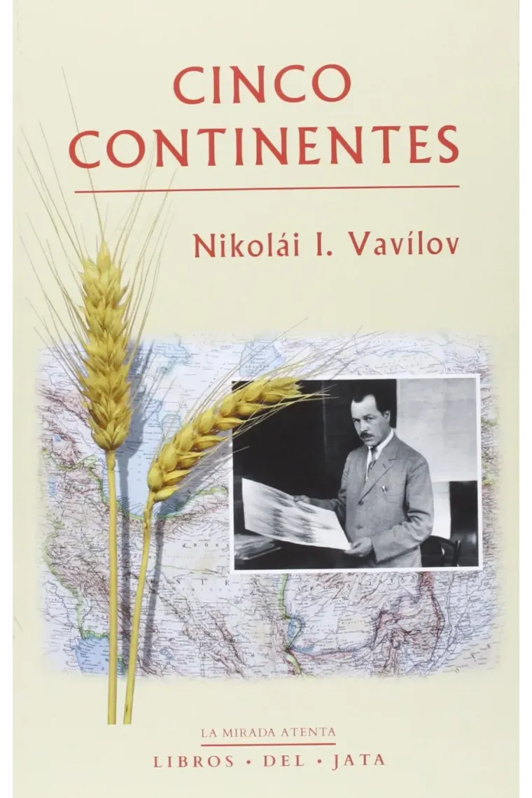 Cinco continentes