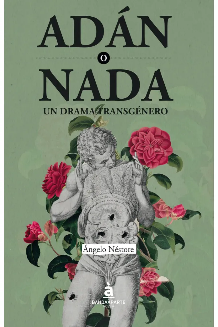 Adán o nada. Un drama transgénero.