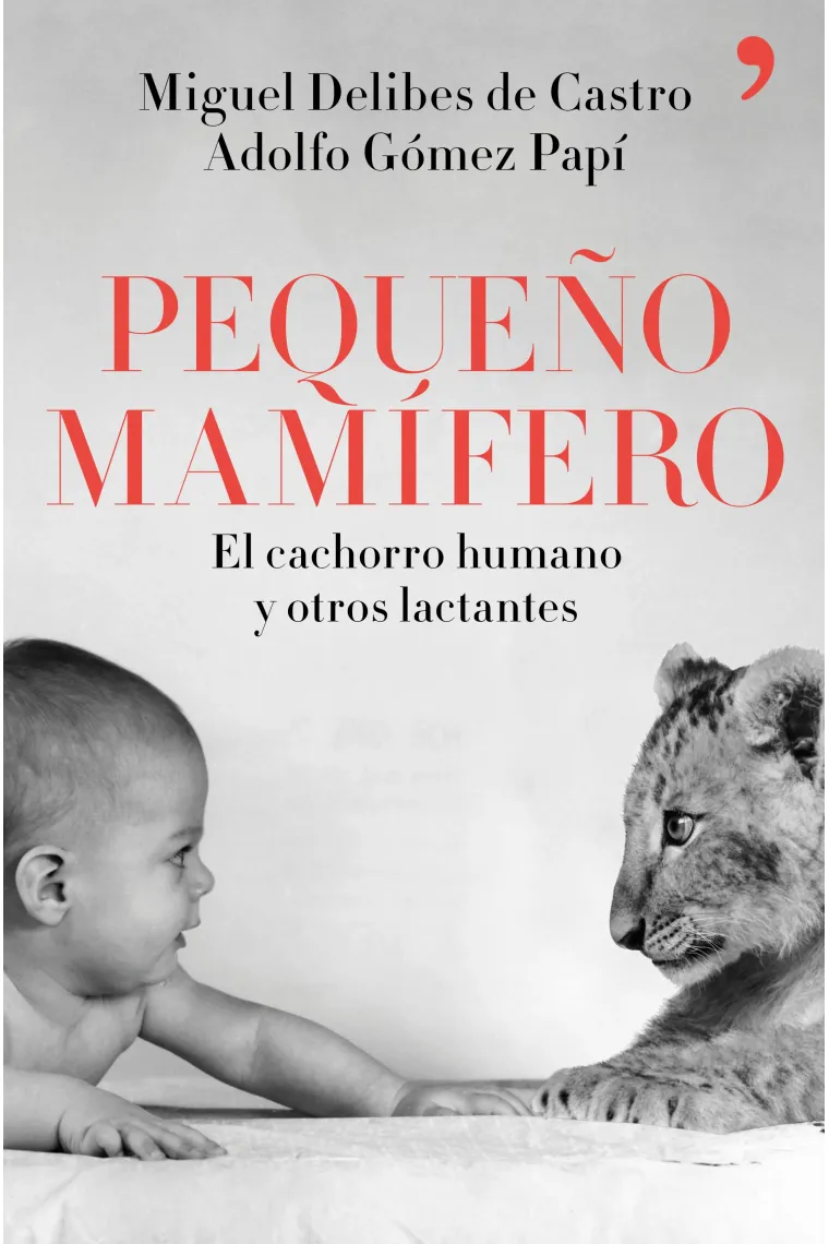 Pequeño mamífero.