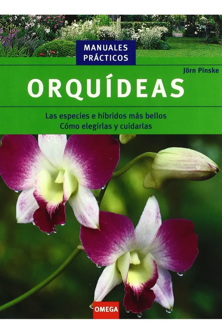 Orquídeas. Las especies e híbridos más bellos
