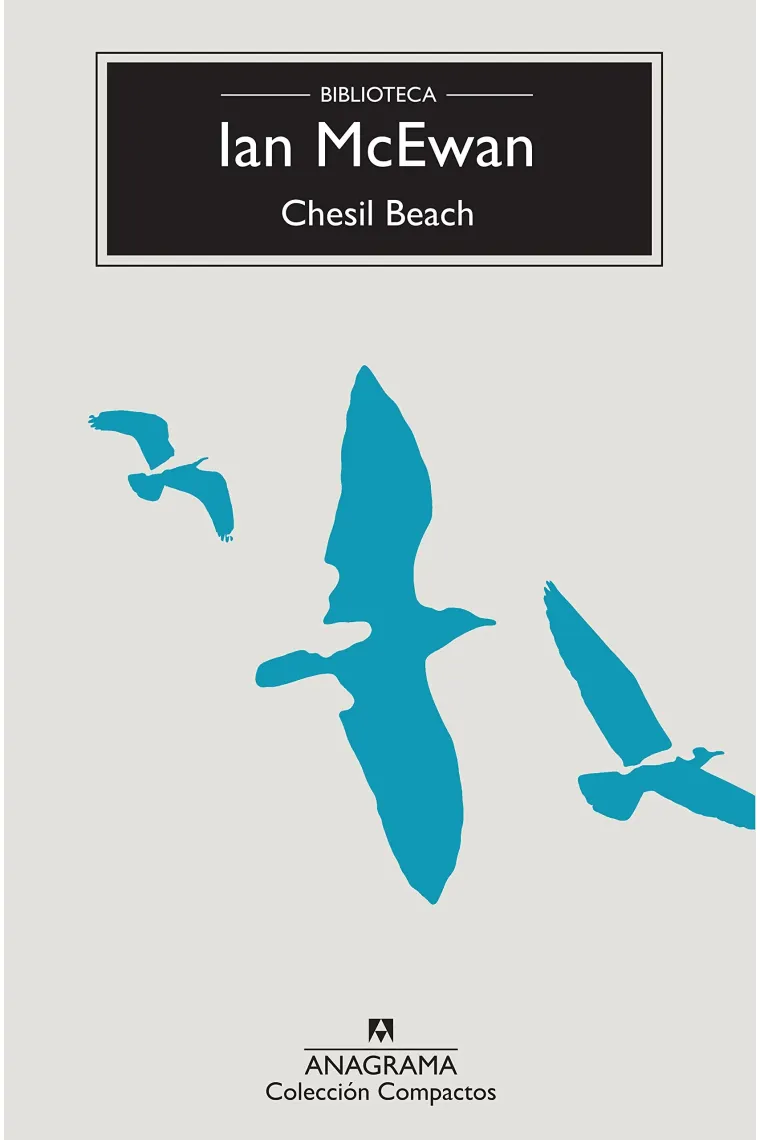 Chesil Beach -480