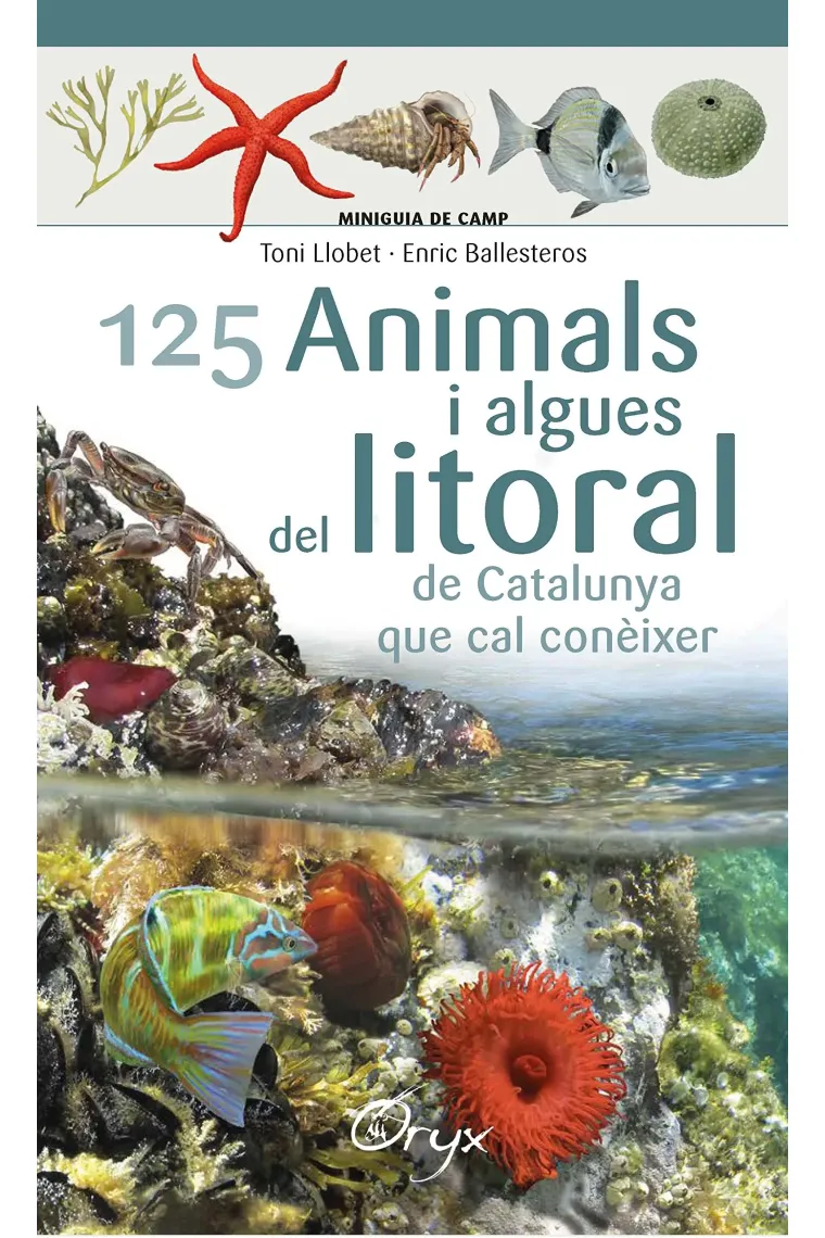 125 animals i algues del litoral de Catalunya que cal conèixer (Miniguia de camp) (Catalán)